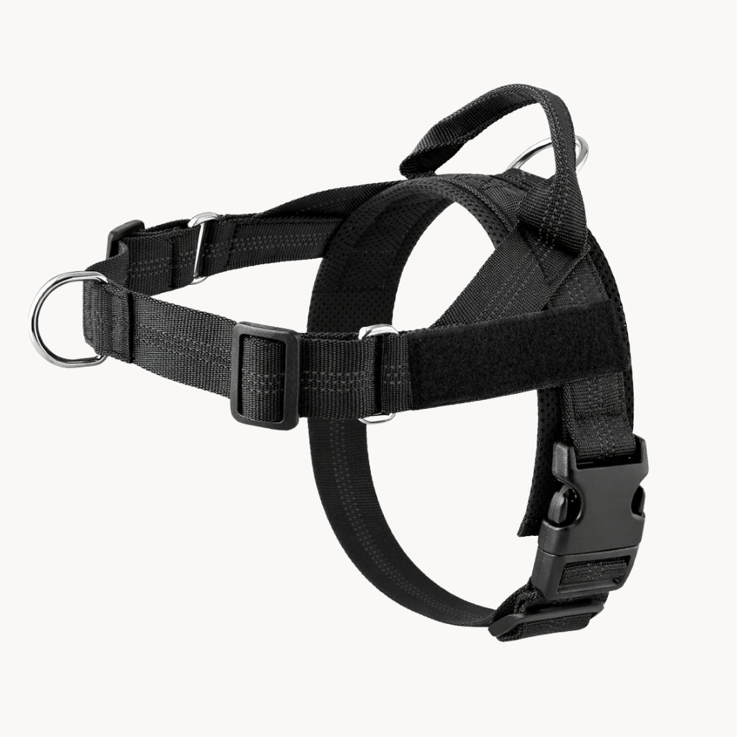 PawEase® – Pettorina anti-tiro per cani
