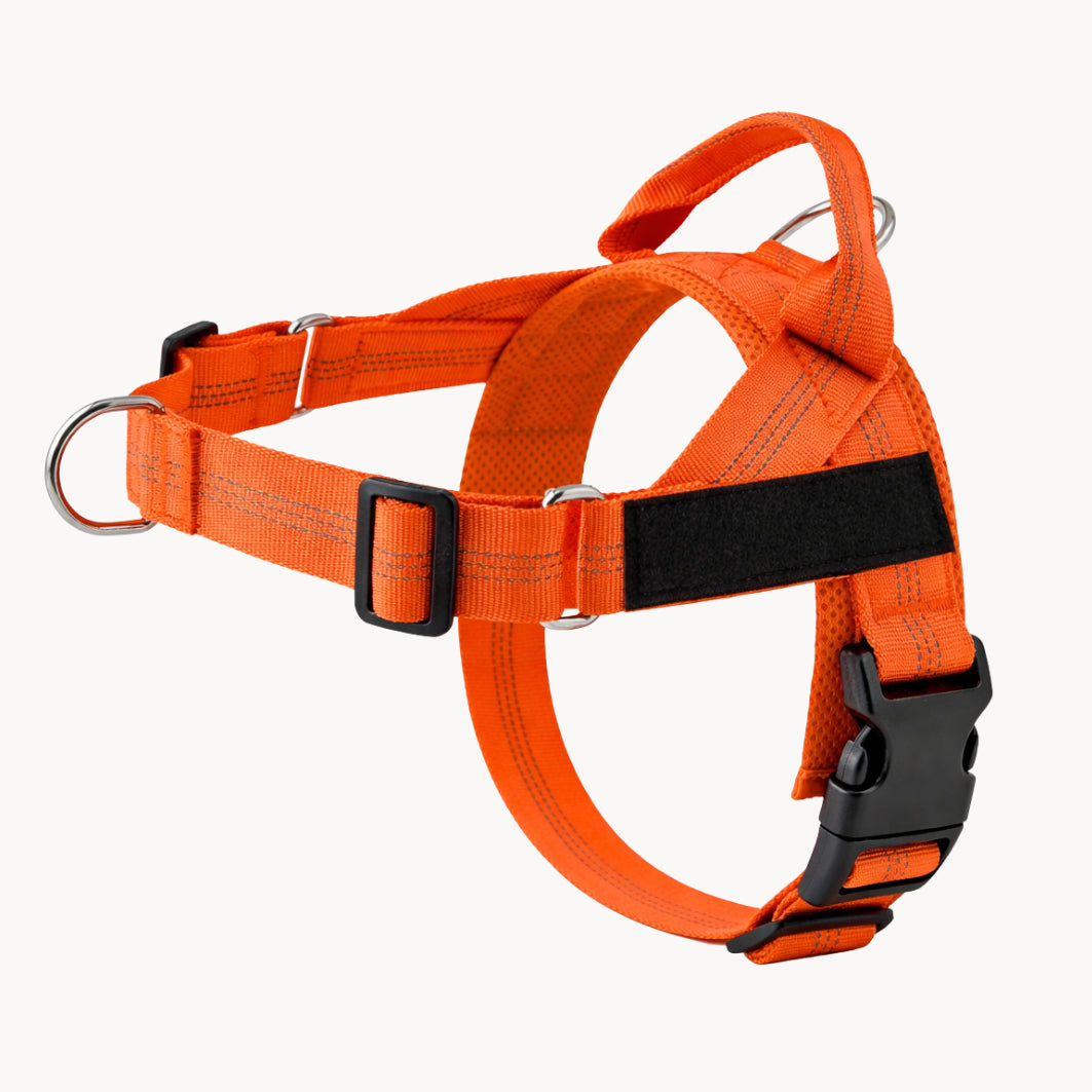 PawEase® – Pettorina anti-tiro per cani