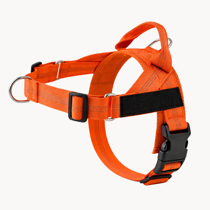 PawEase® – Pettorina anti-tiro per cani