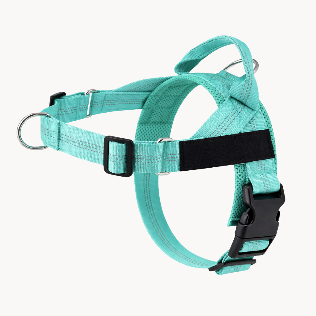 PawEase® – Pettorina anti-tiro per cani