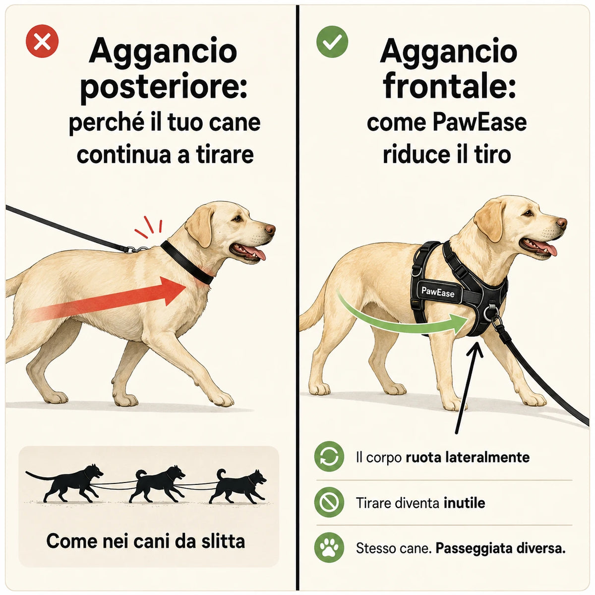 PawEase® – Pettorina anti-tiro per cani