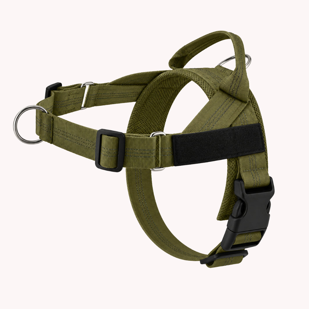 PawEase® – Pettorina anti-tiro per cani