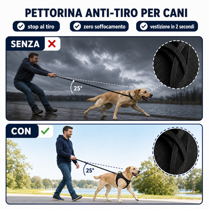 PawEase® – Pettorina anti-tiro per cani — main:us_vs_them
